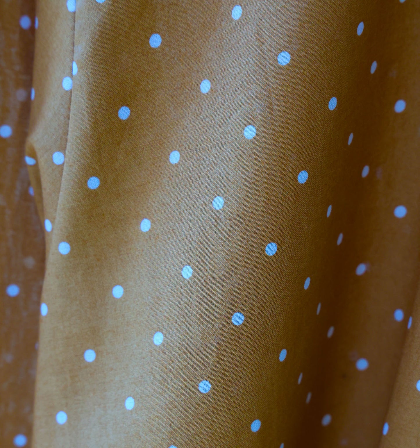 dots dutch collar shirt