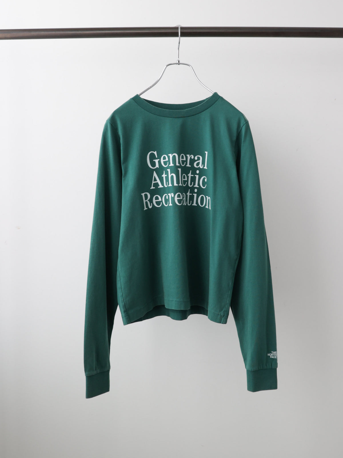 63T0258104	THE NORTH FACE NT32665　GAR TYPOGYAPHIC L/S TEE