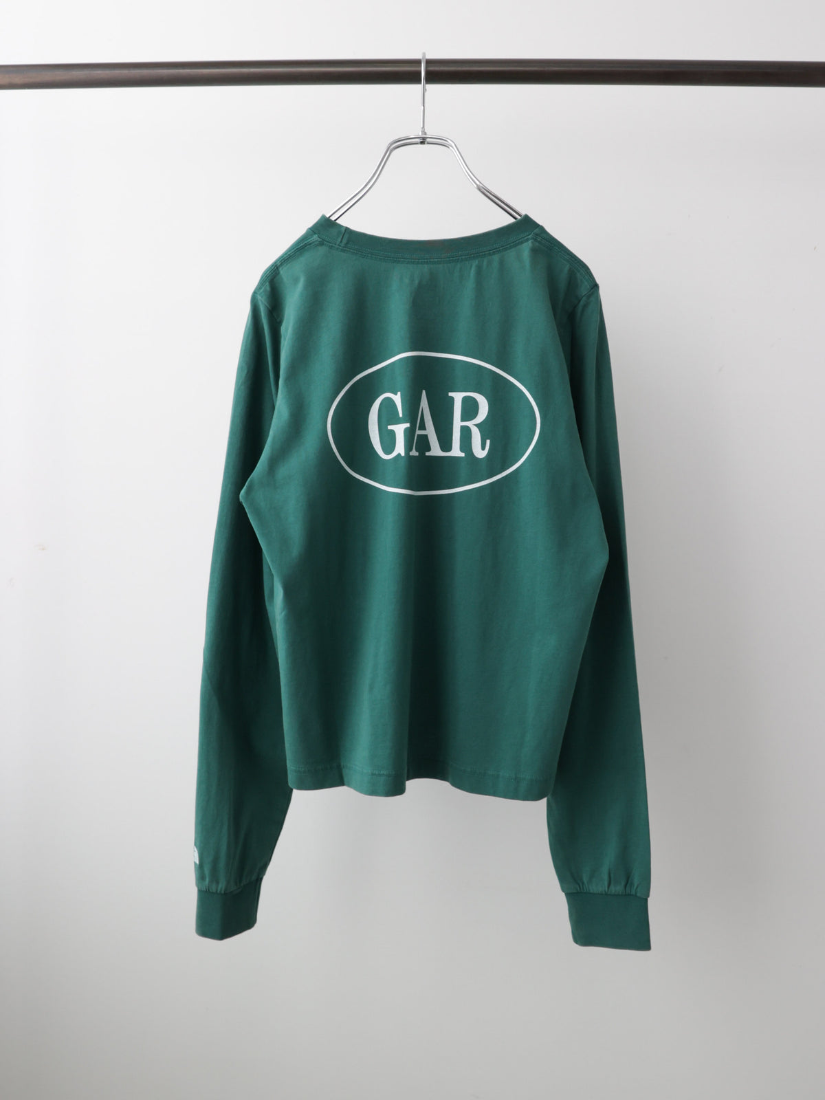63T0258104	THE NORTH FACE NT32665　GAR TYPOGYAPHIC L/S TEE