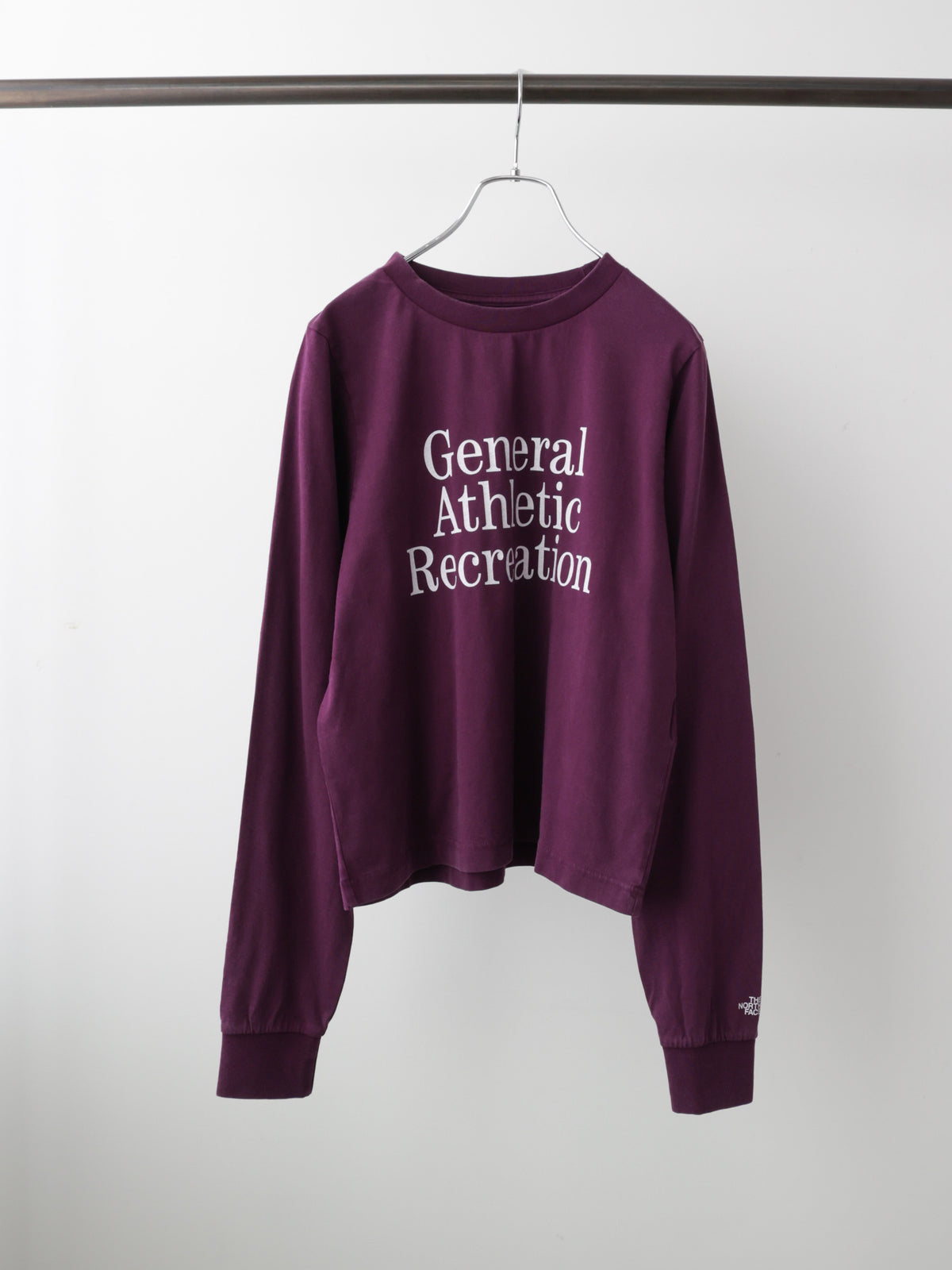63T0258104	THE NORTH FACE NT32665　GAR TYPOGYAPHIC L/S TEE