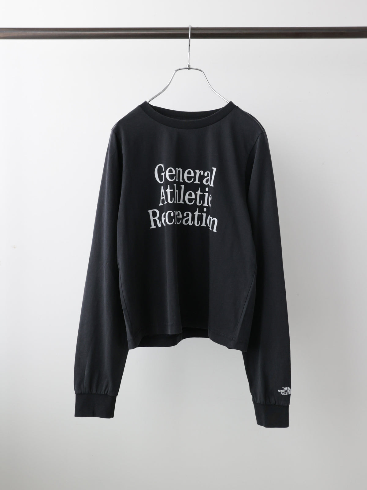 63T0258104	THE NORTH FACE NT32665　GAR TYPOGYAPHIC L/S TEE
